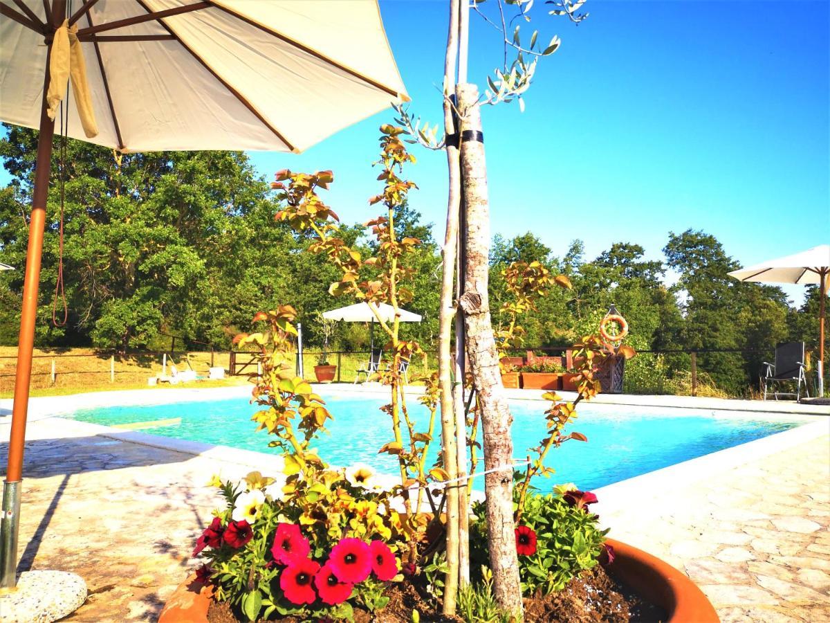Locanda Vesuna Countryhouse Trequanda Εξωτερικό φωτογραφία
